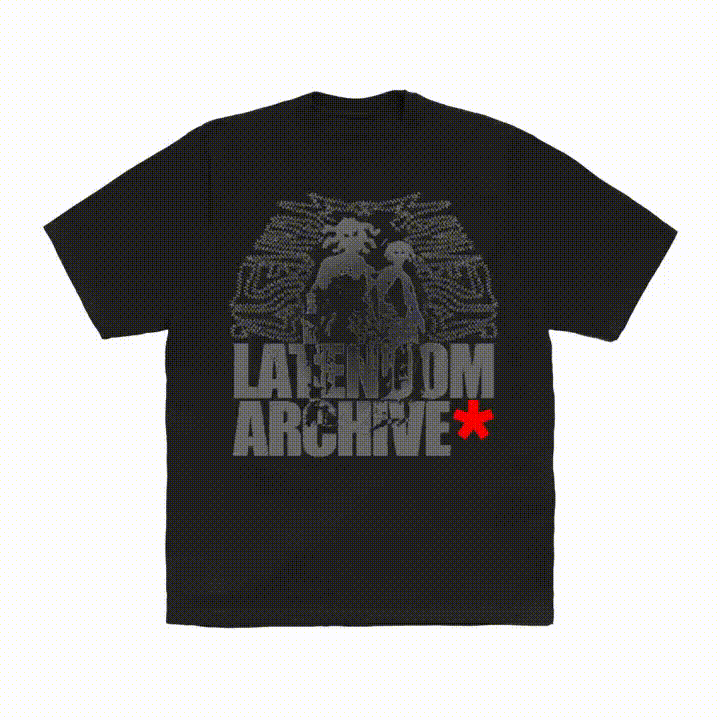 Archive Shadow Box Fit Tee
